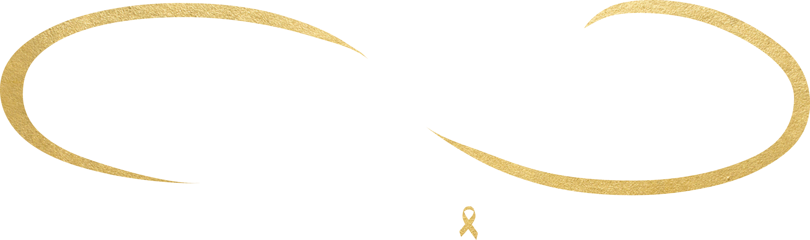 Desi Strong Foundation logo
